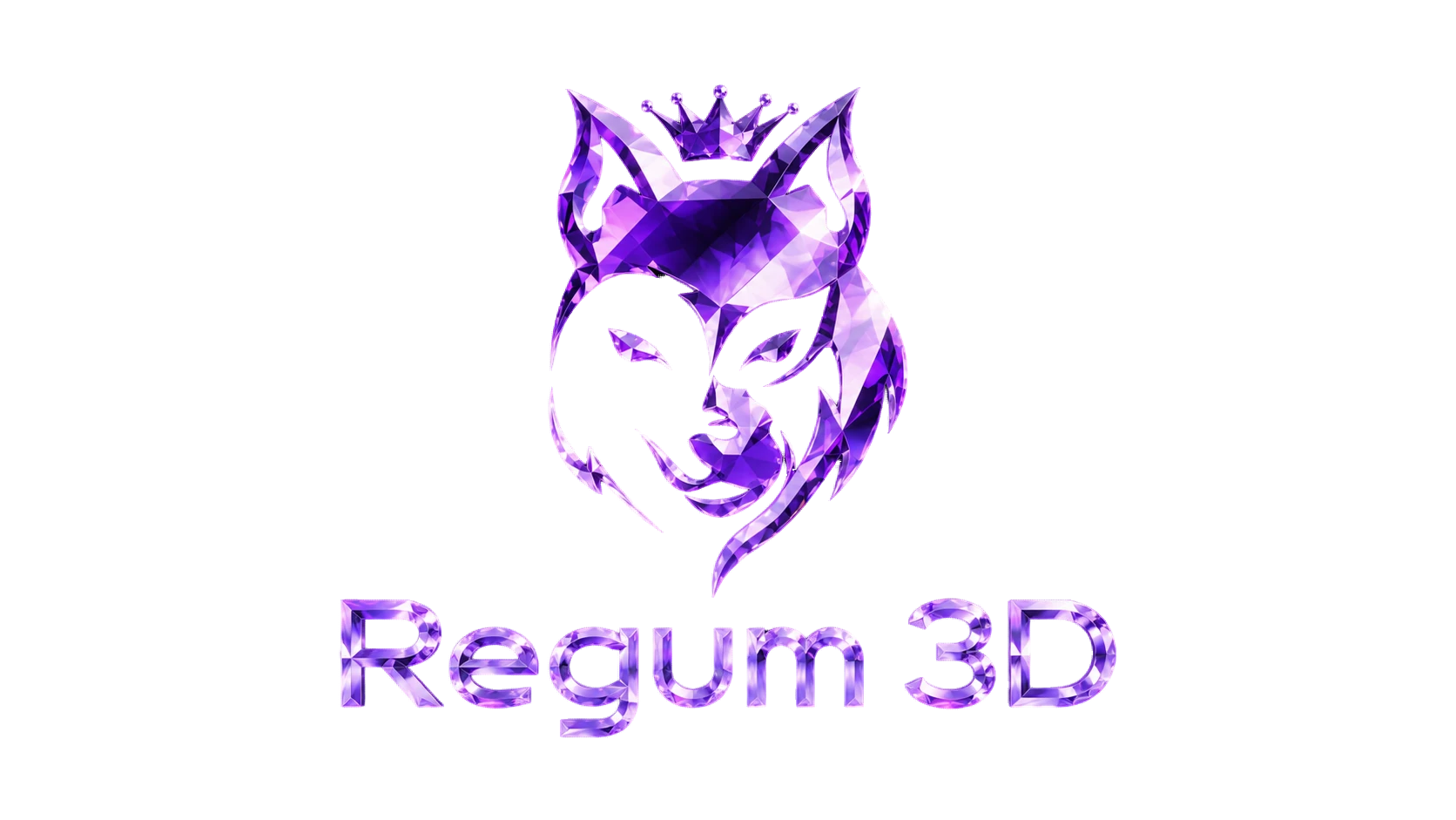 Regum 3D